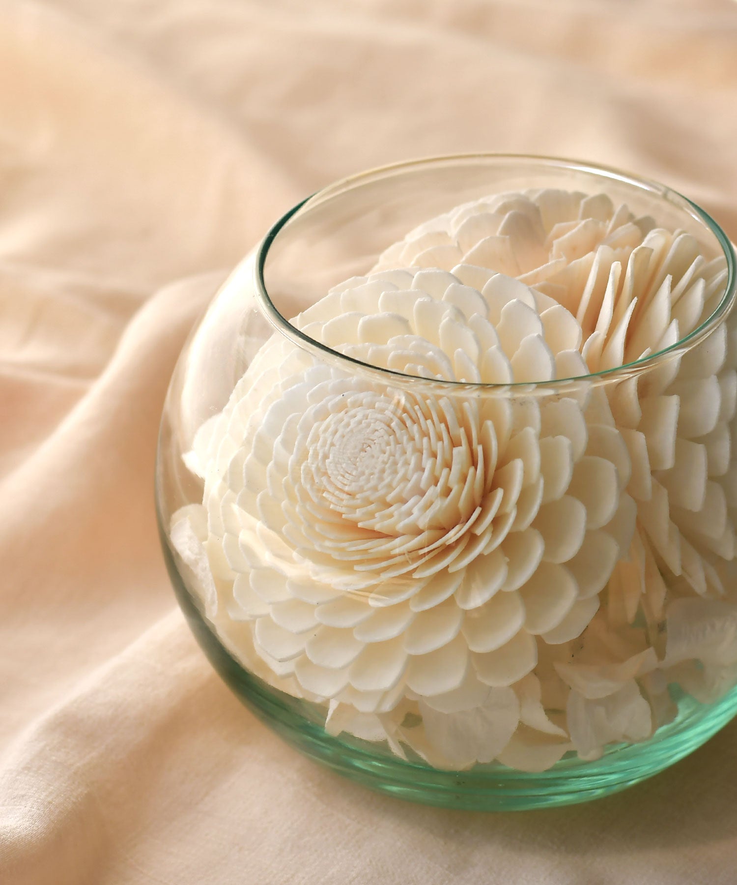 ソラフラワー　ソラリウム　ジャスミンピーチ