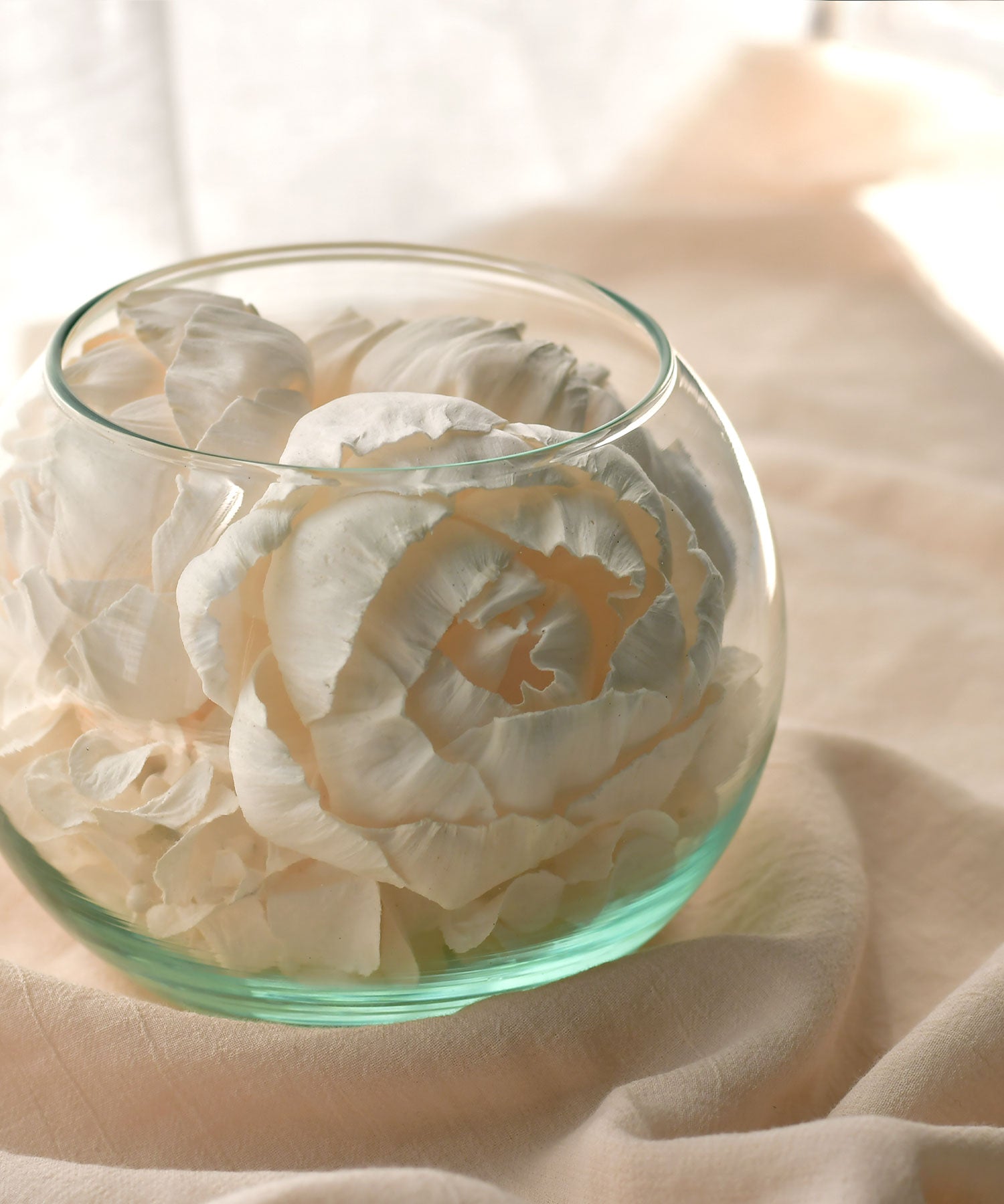 ソラフラワー　ソラリウム　ピオニーオレンジ